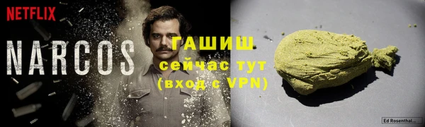 прущие грибы Алзамай