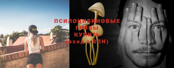 a pvp Алексин