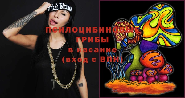 спиды Арсеньев